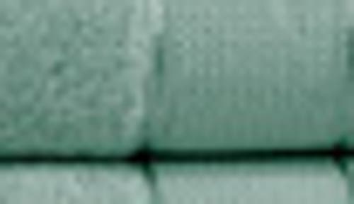 Modern Threads Spunloft(tm) Bath Sheet In Eucalyptus