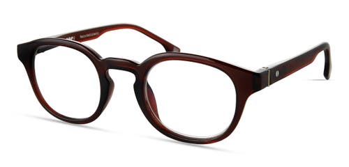 Shop One:1 Bodoni Reading Glasses In Brown