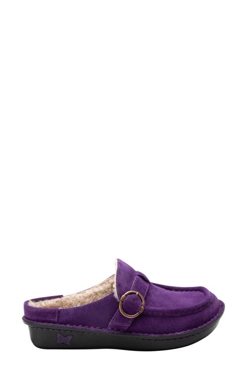 Shop Alegria By Pg Lite Clog In Deep Amethyst