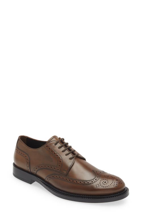 Tod's Brogued Wingtip Derby Cacao at Nordstrom,