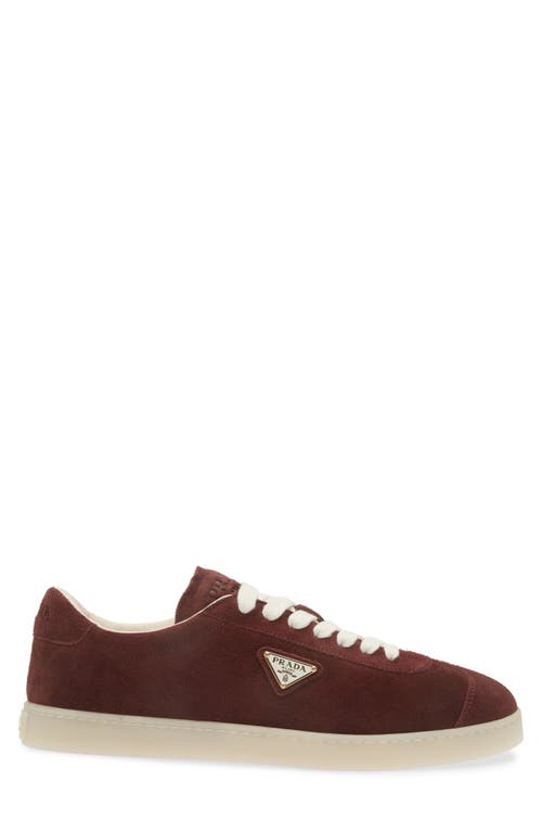 Shop Prada Lane Triangle Logo Sneaker In Bordeaux