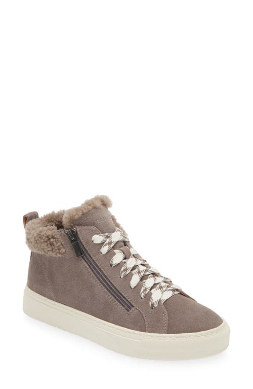 FRANKIE4 Miles Genuine Shearling Lined Sneaker in Dark Taupe 