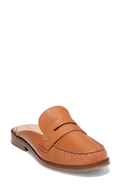 Cole Haan Lux Pinch Penny Loafer Mule Pecan Ltr at Nordstrom,