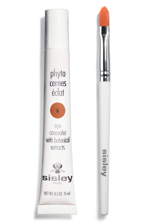 Sisley Paris Phyto-Cernes Éclat Eye Concealer in 6 Deep
