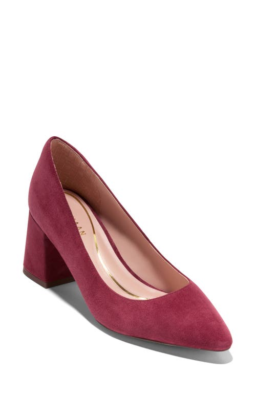 Shop Cole Haan Cassandra Pointed Toe Pump In Cherry Black