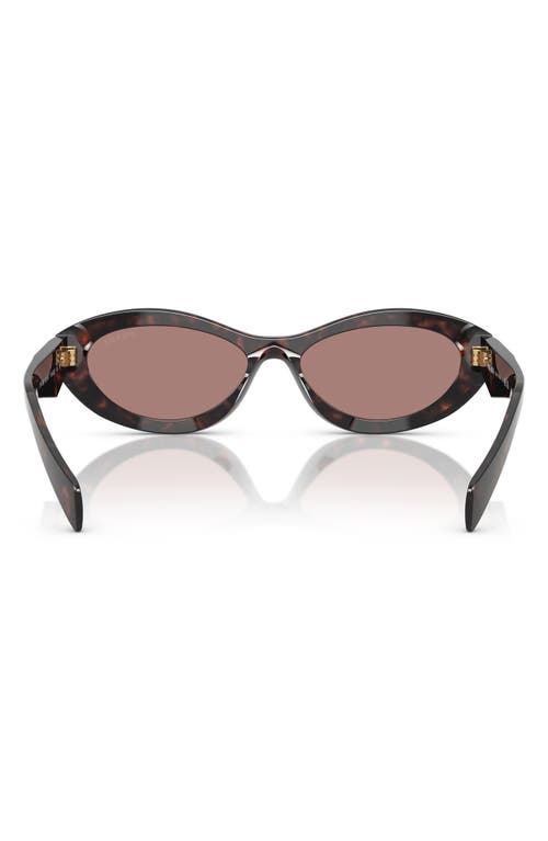 Shop Prada 55mm Irregular Sunglasses In Brown Tortoise