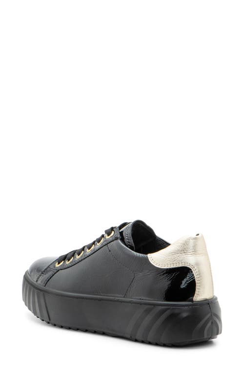 Ara Mikky Platform Sneaker In Black/platinum