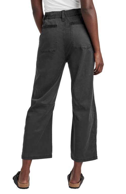 Splendid Gianna Crop Drawstring Pants In Lead