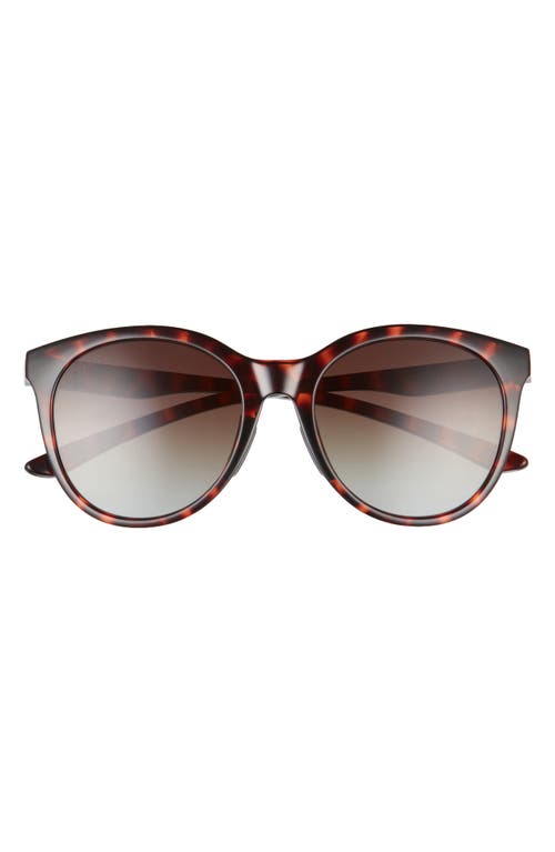 Smith Bayside 55mm Polarized Round Sunglasses in Tortoise/Brown Gradient at Nordstrom