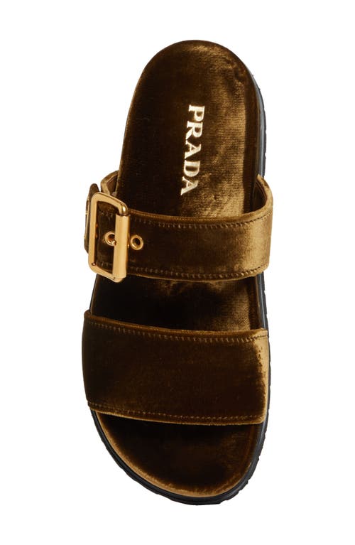 Shop Prada Logo Double Band Slide Sandal In Cacao