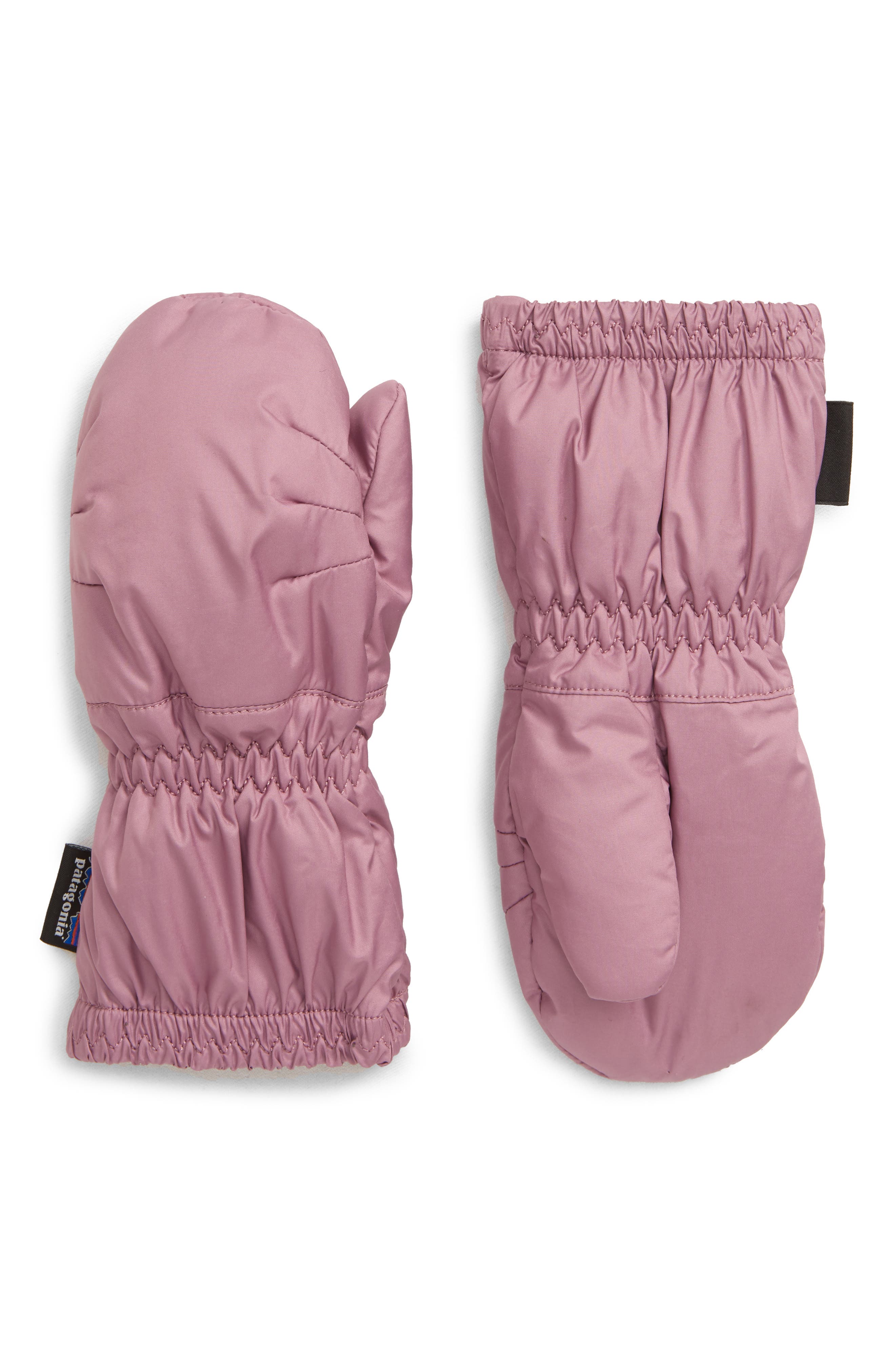 verbena purple patagonia