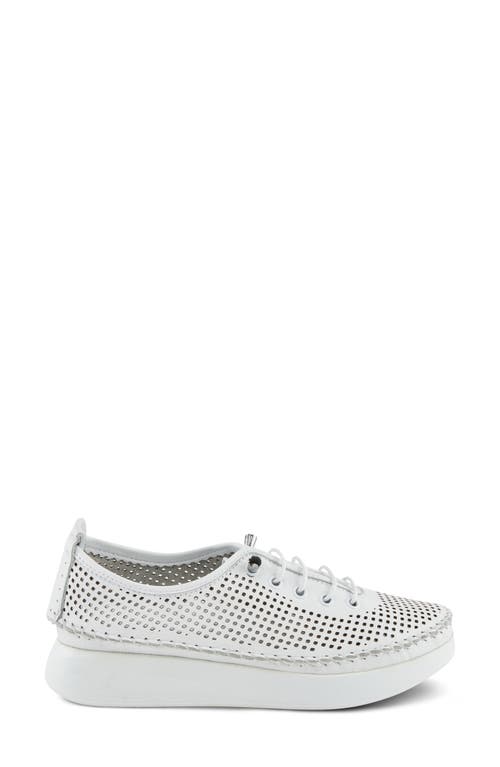 Shop Spring Step Eastwood Platform Sneaker In White