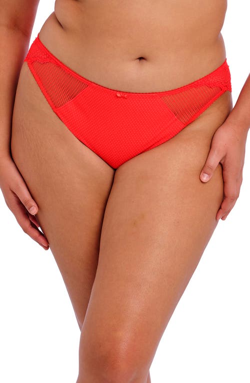 Elomi Charley Full Figure Mesh & Lace Brazilian Briefs at Nordstrom,