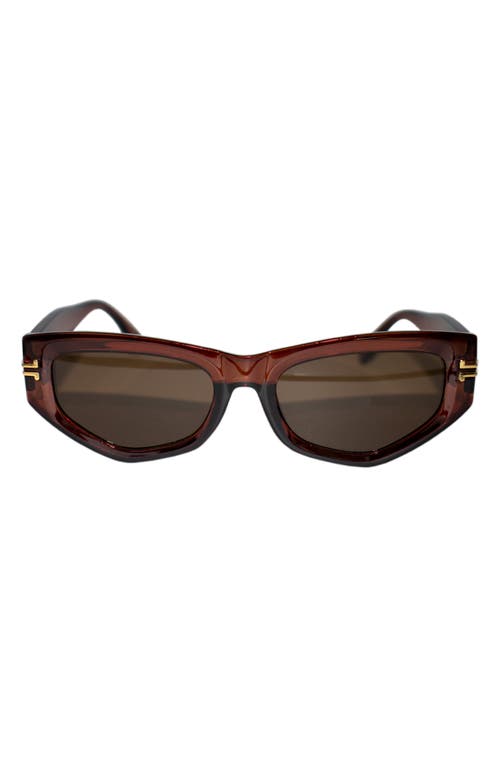 Fifth & Ninth Wren 52mm Polarized Geometric Sunglasses in Brown/Brown