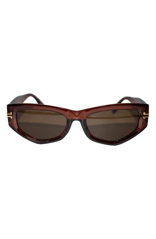 Fifth & Ninth Wren 52mm Polarized Geometric Sunglasses In Brown/brown