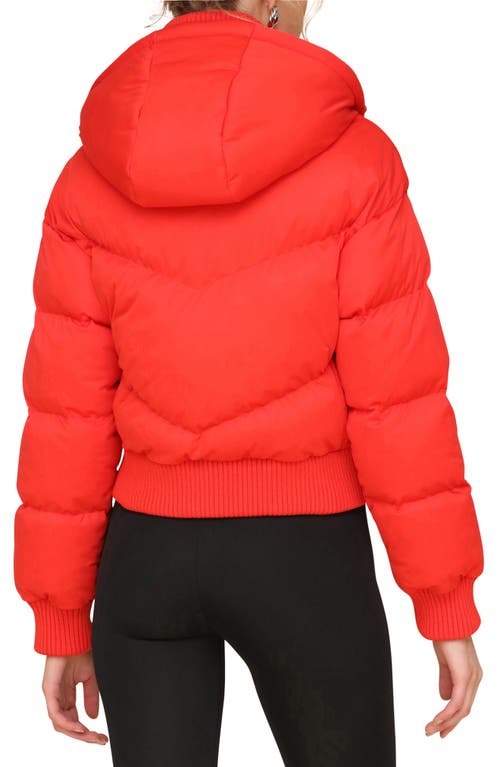 Shop Avec Les Filles Thermalpuff™ Crop Puffer Jacket With Rib Bib In Maraschino