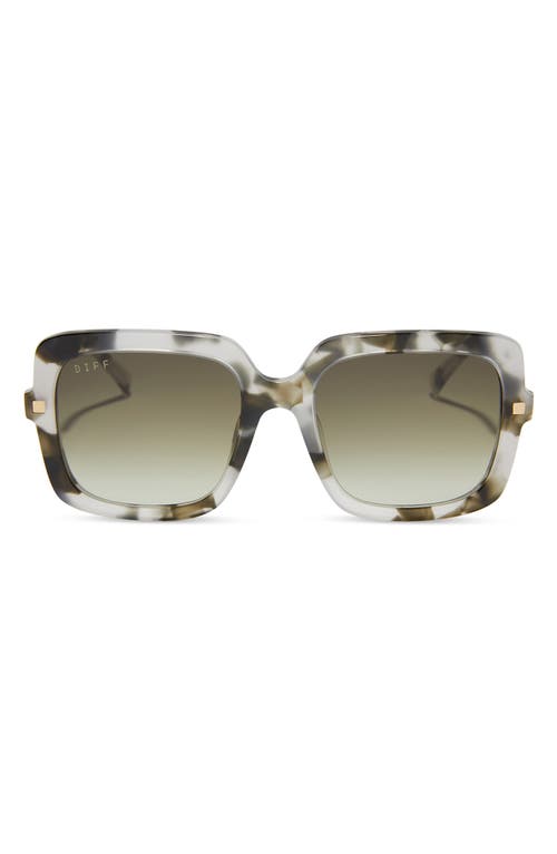 Sandra 54mm Gradient Square Sunglasses in Kombu/Olive Gradient