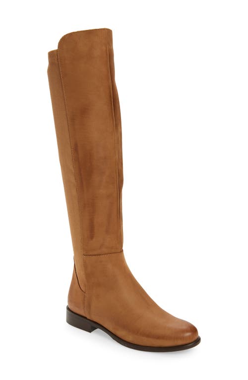 Shop Cordani Bethany Knee High Boot In Cuoio Nubuck