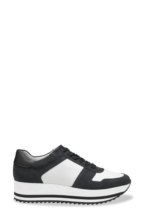 Shop Johnston & Murphy Gracie Colorblock Sneaker In Black Suede/white Calf