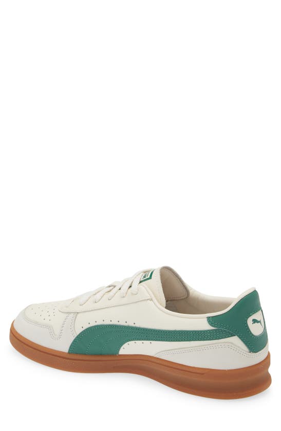 Shop Puma Indoor Og Sneaker In Frosted Ivory-vine