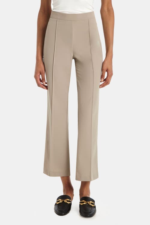 Capsule 121 The Oriole Pant In Parker Tech In Tan