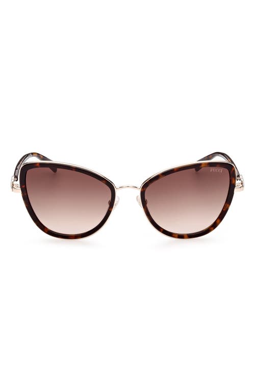 Emilio Pucci 57mm Gradient Cat Eye Sunglasses in Havana/Other/Gradient Brown