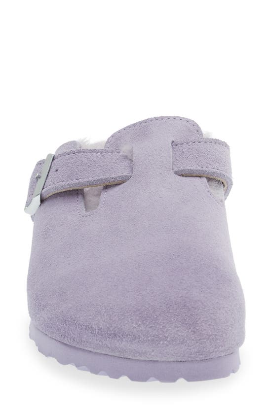 Birkenstock Boston Genuine Shearling Lined Clog In Purple Fog/ Purple Fog | ModeSens