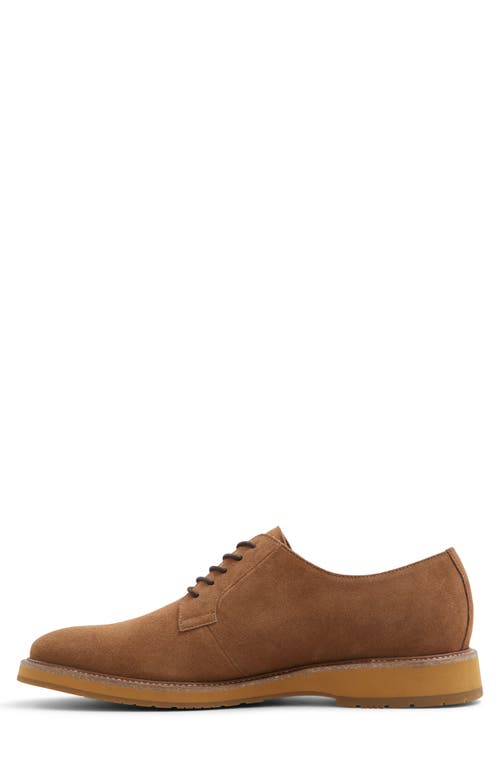 Aldo Ferguson Derby In Light Brown