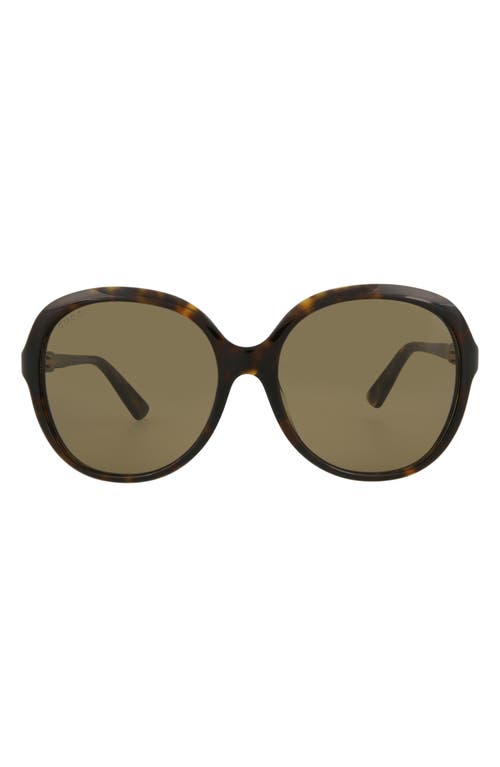 Gucci offers 58mm brown tortoise sunglasses