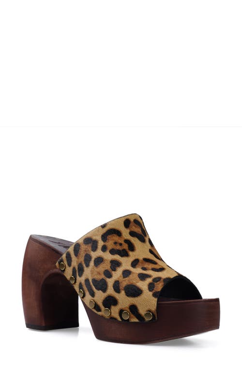 Xyla Platform Sandal in Leopard