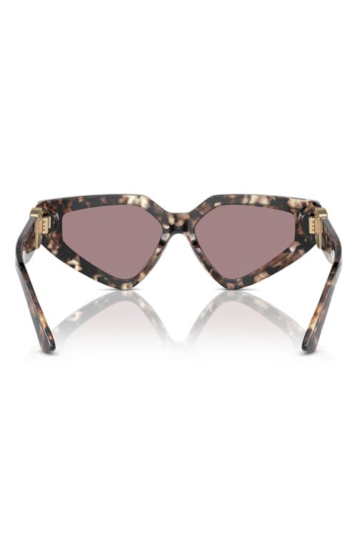 Shop Dolce & Gabbana Dolce&gabbana 59mm Butterfly Sunglasses In Brown Havana