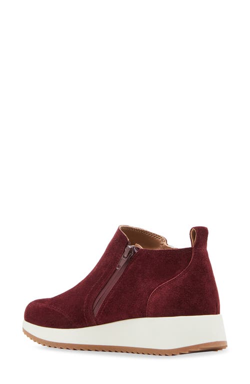 Shop Blondo Ellorie Waterproof Wedge Sneaker In Wine Suede