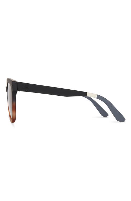 Toms Juniper 54mm Round Sunglasses In Matte Black Honey Tortoise