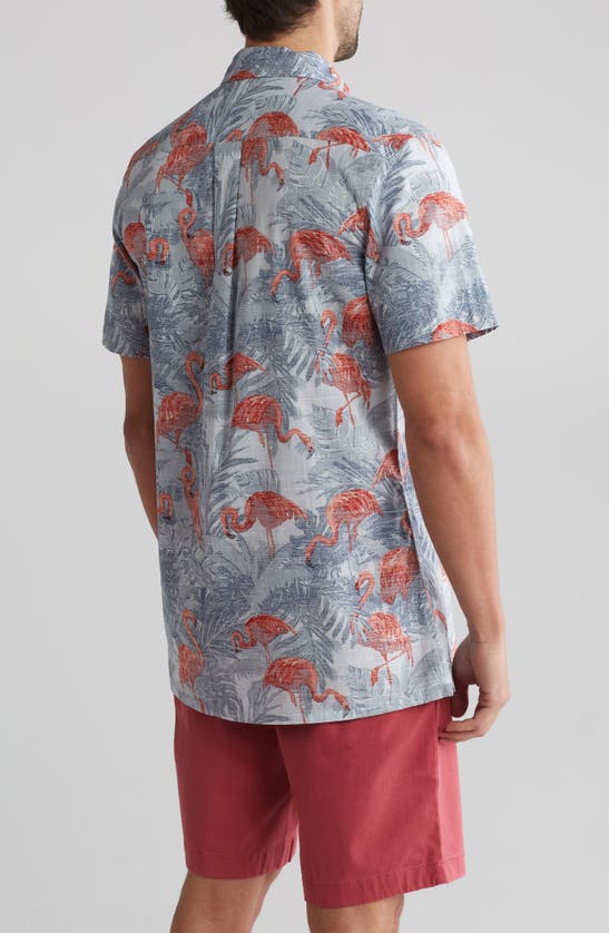 Shop 14th & Union Flamingos Short Sleeve Button-down Shirt In Blue- Red Flamingo