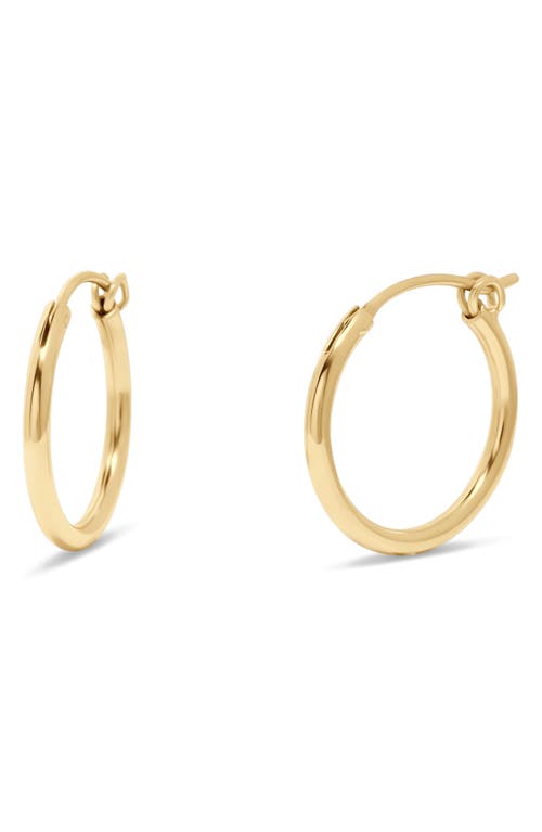 Nellie Hoop Earrings in Gold - 19Mm