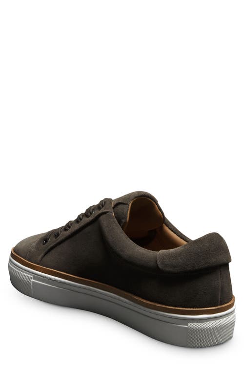 Allen Edmonds Flynn Leather Sneaker In Grey
