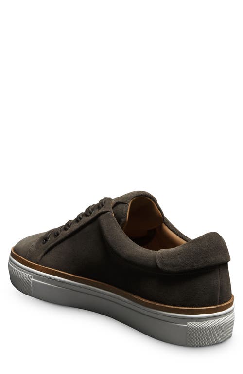 Shop Allen Edmonds Flynn Leather Sneaker In Grey