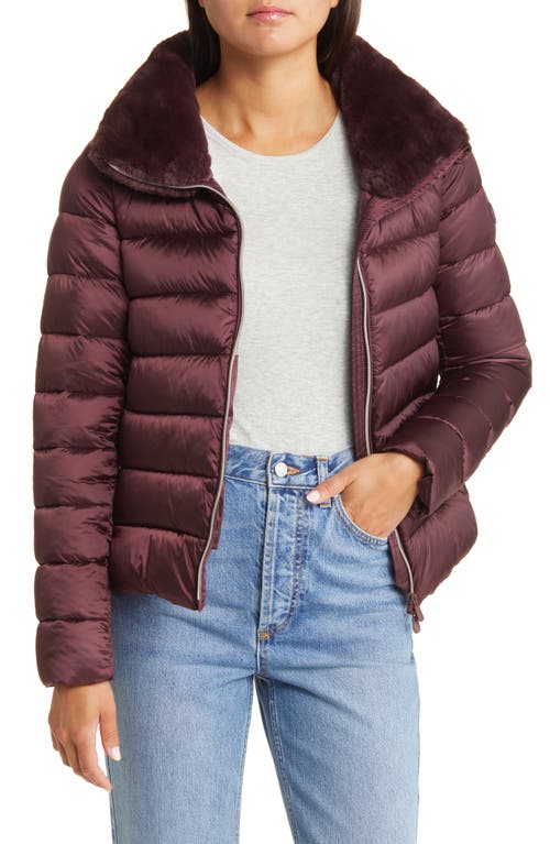 Save The Duck Mei Faux Fur Collar Puffer Jacket in Burgundy Black