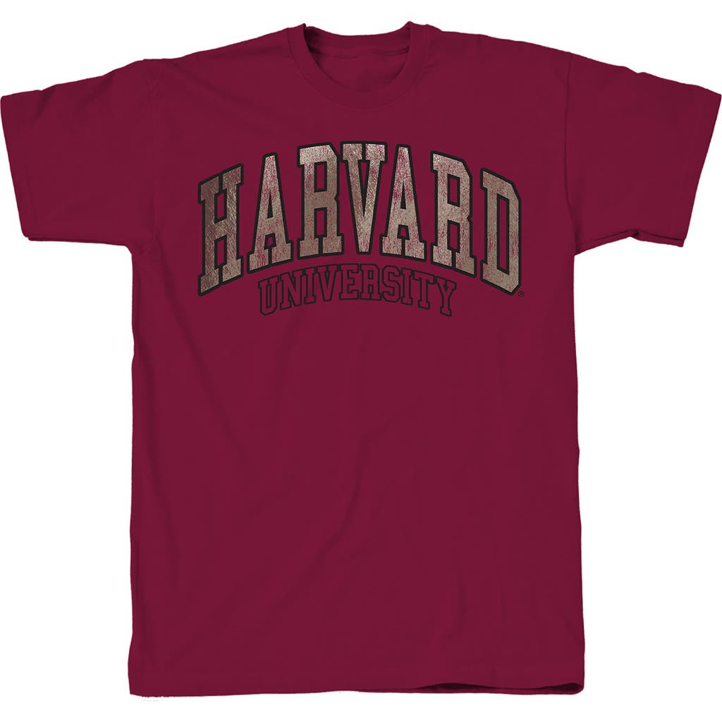 Shop Tsc Miami Harvard Foiled Arch Graphic Print T-shirt In Garnet