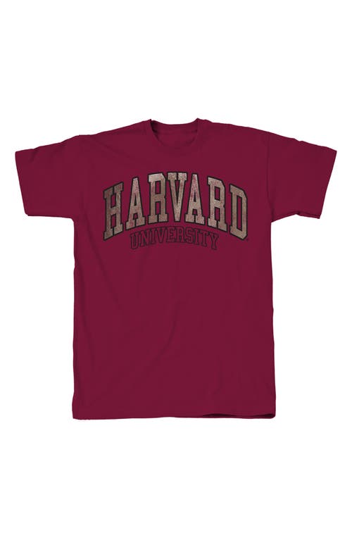 Shop Tsc Miami Harvard Foiled Arch Graphic Print T-shirt In Garnet