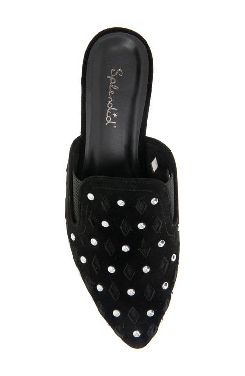 SPLENDID SPLENDID LINNA POINTED TOE MULE 