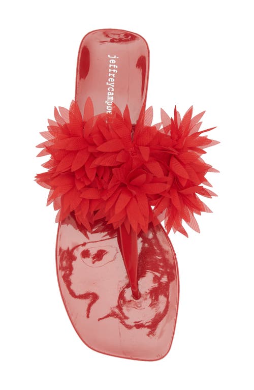 JEFFREY CAMPBELL JEFFREY CAMPBELL POLLINATE T-STRAP SANDAL 
