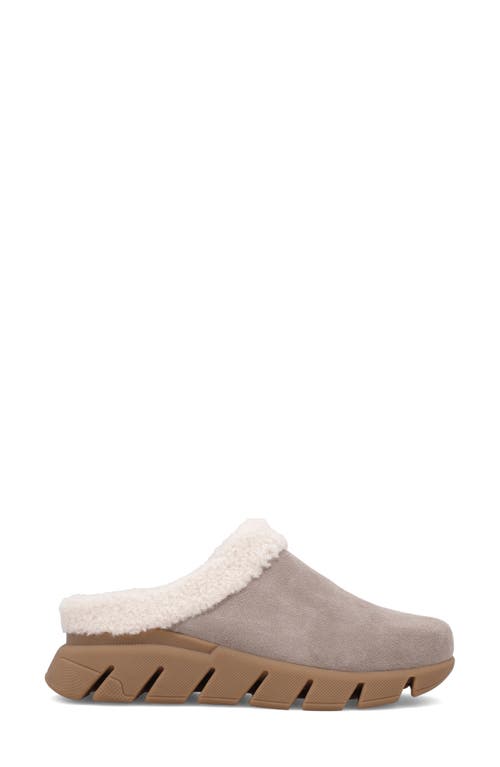 Shop Mia Limited Edition Aric Genuine Shearling Slipper In Stone/off White