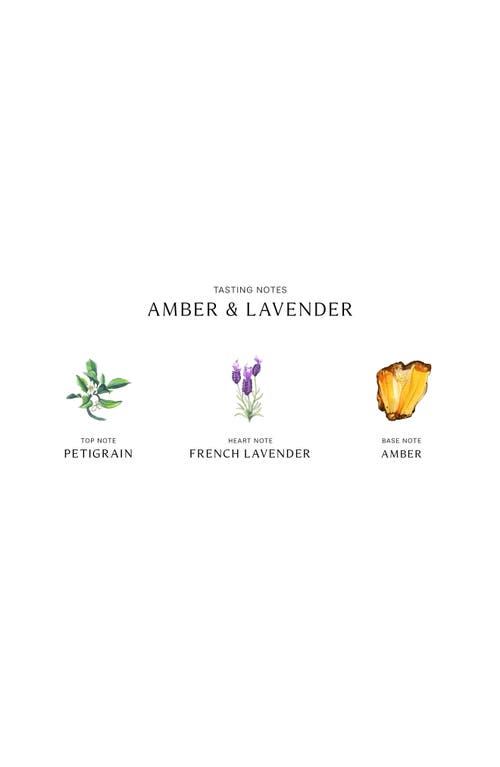 Lavender | Little Notes