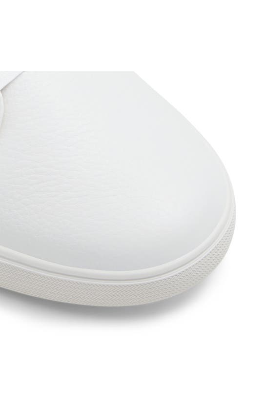 Ted Baker Brentford Sneaker In White