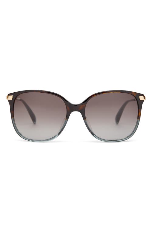 Toms Sandela 55mm Gradient Square Sunglasses In Tortoise Ocean Grey Fade