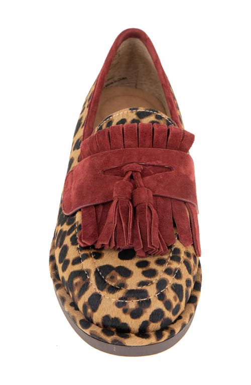 Shop Gentle Souls By Kenneth Cole Cydney Tassel Kiltie Penny Loafer In Leopard Haircalf