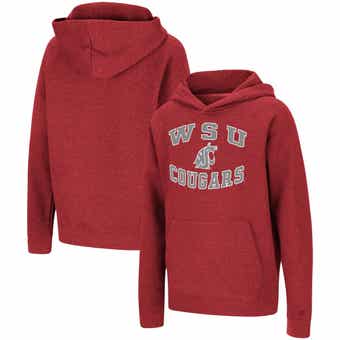 Outerstuff Youth Royal Golden State Warriors Over The Limit Pullover Hoodie at Nordstrom, Size XL
