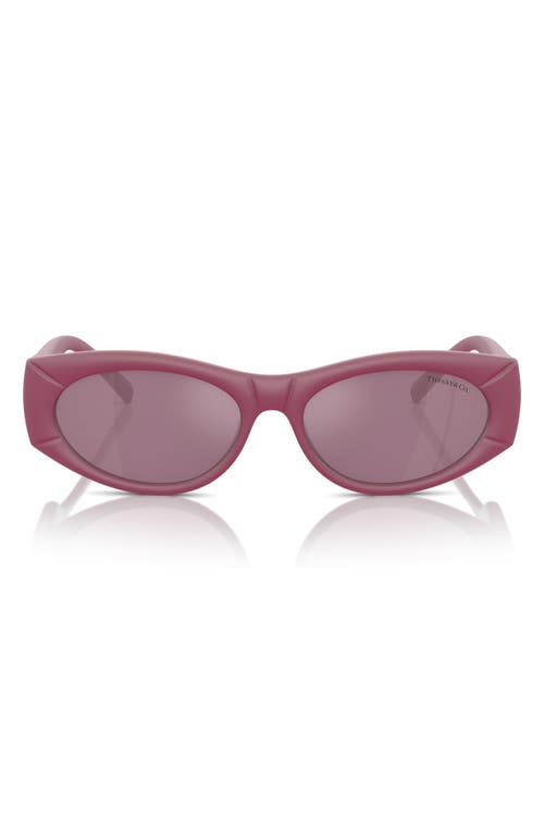 Tiffany & Co . 55mm Oval Sunglasses In Pink