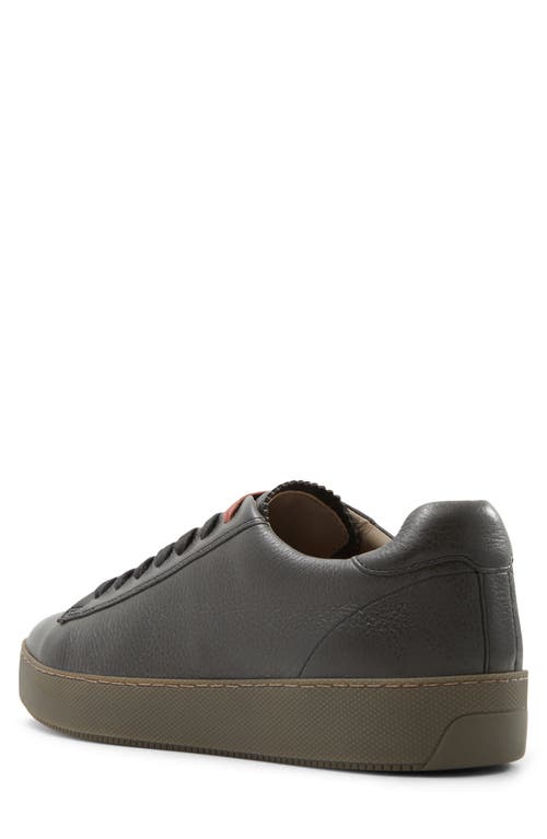 Shop Ted Baker Westwood Sneaker In Dark Brown